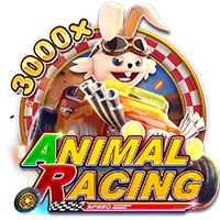 ANIMAL RACING - LETSEBET77