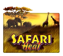 Safari Heat - LETSEBET77