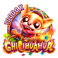 CHILIHUAHUA - LETSEBET77
