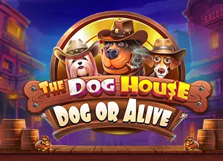 The Dog House - Dog or Alive - LETSEBET77