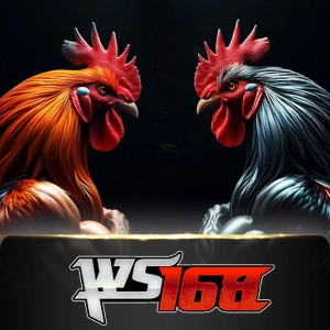 Ws168 Sabung - LETSEBET77