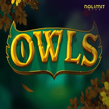 Owls - LETSEBET77