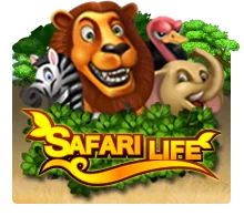 Safari Life - LETSEBET77