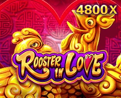Rooster In Love - LETSEBET77