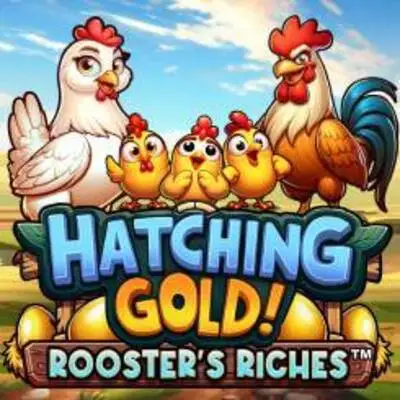 Hatching Gold! Roosters Riches - LETSEBET77