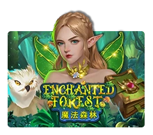 Enchanted Forest - LETSEBET77