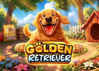 Golden Retriever - LETSEBET77
