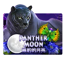 Panther Moon - LETSEBET77