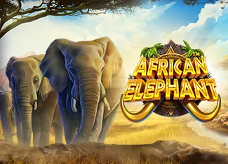 African Elephant - LETSEBET77